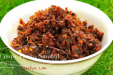 虾米辣椒 Sambal虾米 Crispy Prawn Chili | Sambal Tumis Udang Kering
