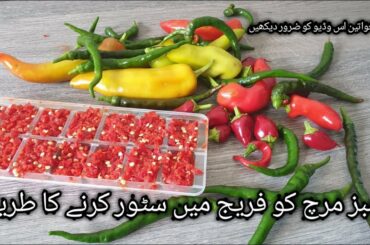 Wao best chili saving tricks | How to save green chili for two months | chili hacks