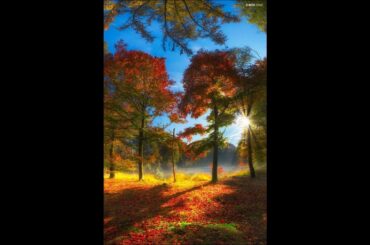 Dutch Oven Bread and Chili on the Campfire