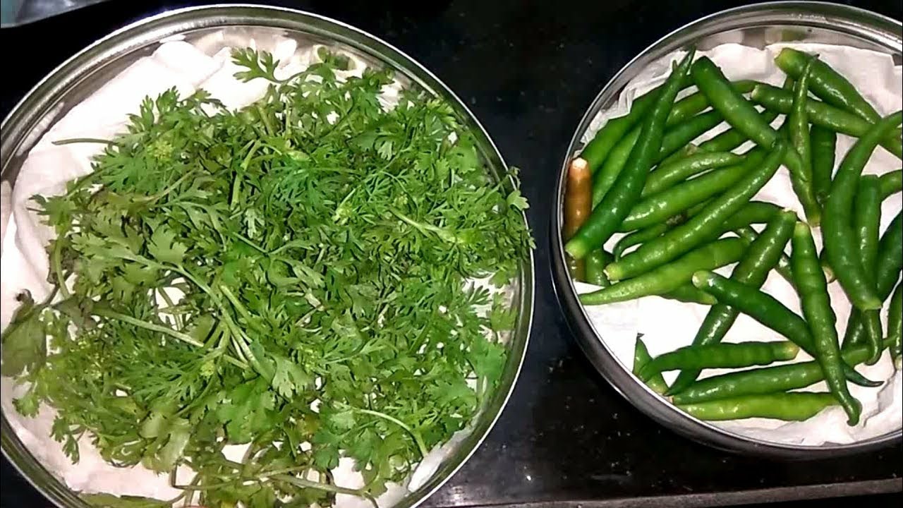 How to store Coriander Leaves & Green Chili Fresh For Long Time in