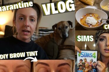COVID19 QUARANTINE VLOG: DIT BROW TINT, SIMS 4, LOW CARB CHILI