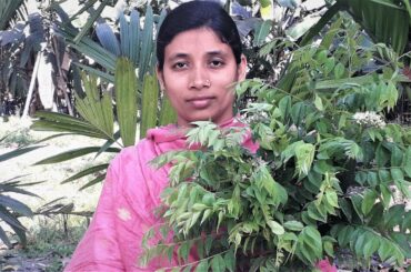 Curry Patar Bora Bengali Recipe | Curry Leaves Pakora Recipe Prepared By Street Village Food