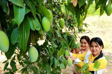 Fried Fish Mango Sauce Cooking Recipe - My Food My Lifestyle