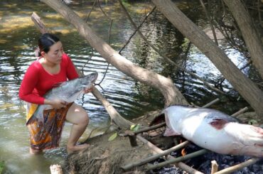 Big fish 6 kg Grilled and eat with chili salt food for lunch - My food daily II Ep 09