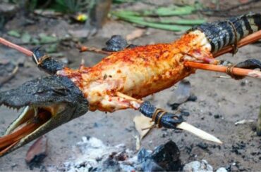 Cooking Crocodile Lechon BBQ Recipe - Roasted Crocodile Meat BBQ with Chili Sauce || Survival skills