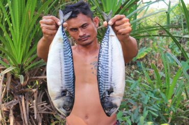 Cooking Mackerel With Chili Hot Sauce - Grilled Mackerel for Lunch