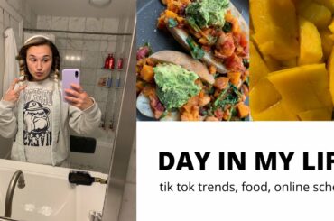 VLOG: trying a tik tok trend