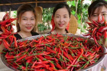 Massive Chili Fry Chicken With Lemon Grass - Cooking Chicken Chili Delicious /CountrySide Daily Life