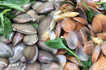 Easy Cooking / Stir Fried Clams in Chili Paste