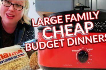 👩‍🍳QUARANTINE COOKING FRUGAL MEALS on a Budget for Large Families | CHEAP Budget Dinners!!