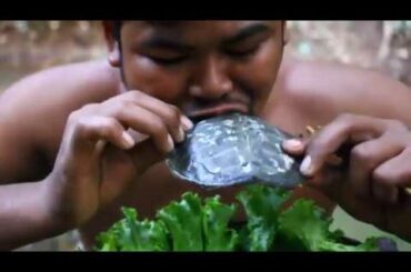 Cooking Softshell turtle Recipe   Cook Shell Turtle eat with Chili Sauce ep004