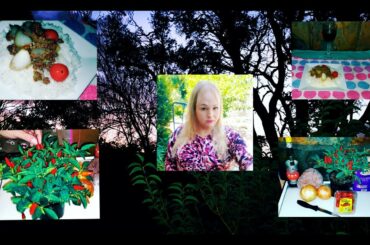 A Simple Stir-fry Chili |(LOCKDOWN | RECIPE)| SHOUTOUT | MY THOUGHTS | FREEDOM |(BUDGET | FRIENDLY)