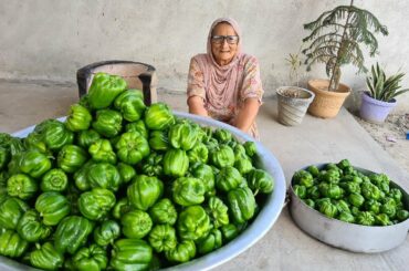 CAPSICUM MASALA | CAPSICUM RECIPE | SHIMLA MIRCH | IN HINDI | VILLAGE COOKING | VEG RECIPES
