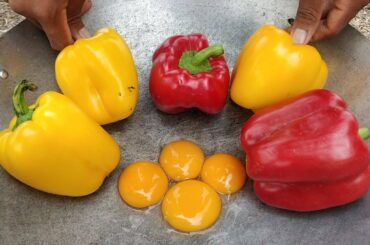 Tasty Bell Pepper Fried Eggs Recipe / Kdeb Cooking