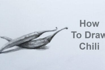 How To Draw A Chili Step By Step: Pencil Sketch Chili Drawing