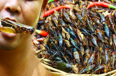 Cooking Crickets Bug with Hot Chili - Cook Bugs,Insects,Crickets with Spicy Chili for Lunch