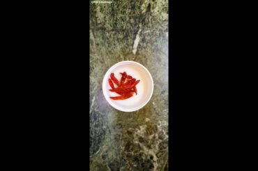 Chili Garlic Sauce / লঙ্কা রসুন এর সস / For Any Recipe / Home Made Recipe/ Easy made – KitchenMinds