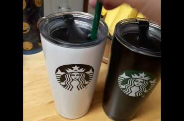 Chili is for dinner  - Ellie Belly the fat cat