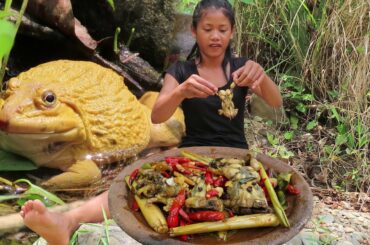 Yummy Cooking Frogs Spicy with Hot Chili & Eating food in Forest
