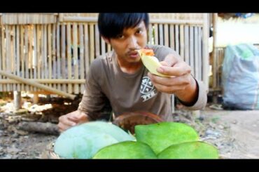 Yummy Big mango eating With spicy salt Chili