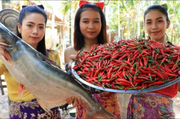 Wow amazing cooking fish stir-fry with chili recipe