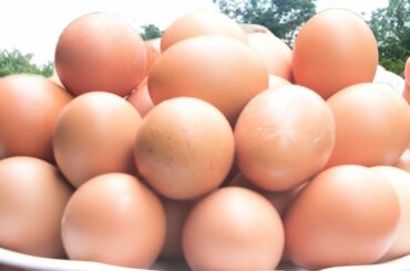 yummy cooking egg grilled recipe with chili sauce