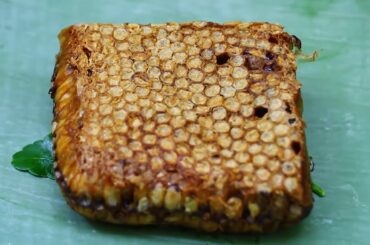 Cooking Lava Worm Honey Recipe   Cook Honey Comb,Lava Worm with Chili Delicious Food   YouTube