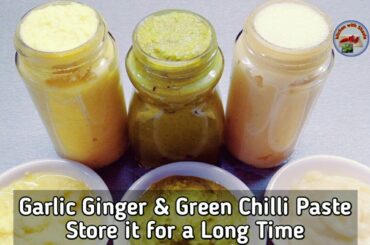 Ginger Garlic Paste and Green Chili Paste Storage Recipe (store it for a long time ) Ramada Special