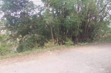 seafood, salmon, braised duck with lemongrass and chili