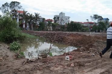 Delicious onion chili pork chili