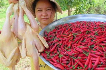 wow Cooking Roast Chicken with chili sauce recipe - mummy cooks food for children