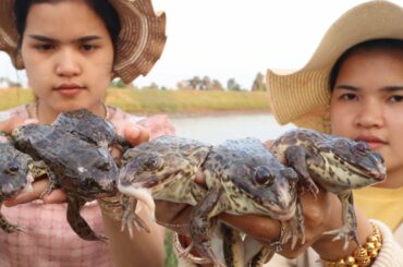 Amazing Stir-fry frog with chili recipe | Chanrith Ny Cooking