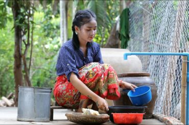 Chicken stir-fry with chili recipe in countryside