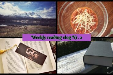 Weekly Reading Vlog: still painting, chili making and reading