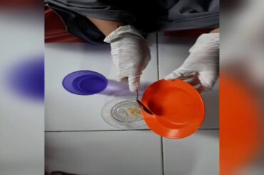 ON MAKING CHILI SEEDS||