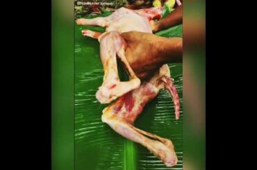 Cooking videos Mandy and 2.GeeRice to chili chicken