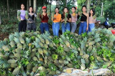 Harvest pineapple with my family and eating with chili salt