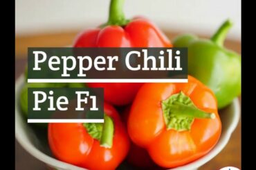Mini Bell Pepper - Chili Pie