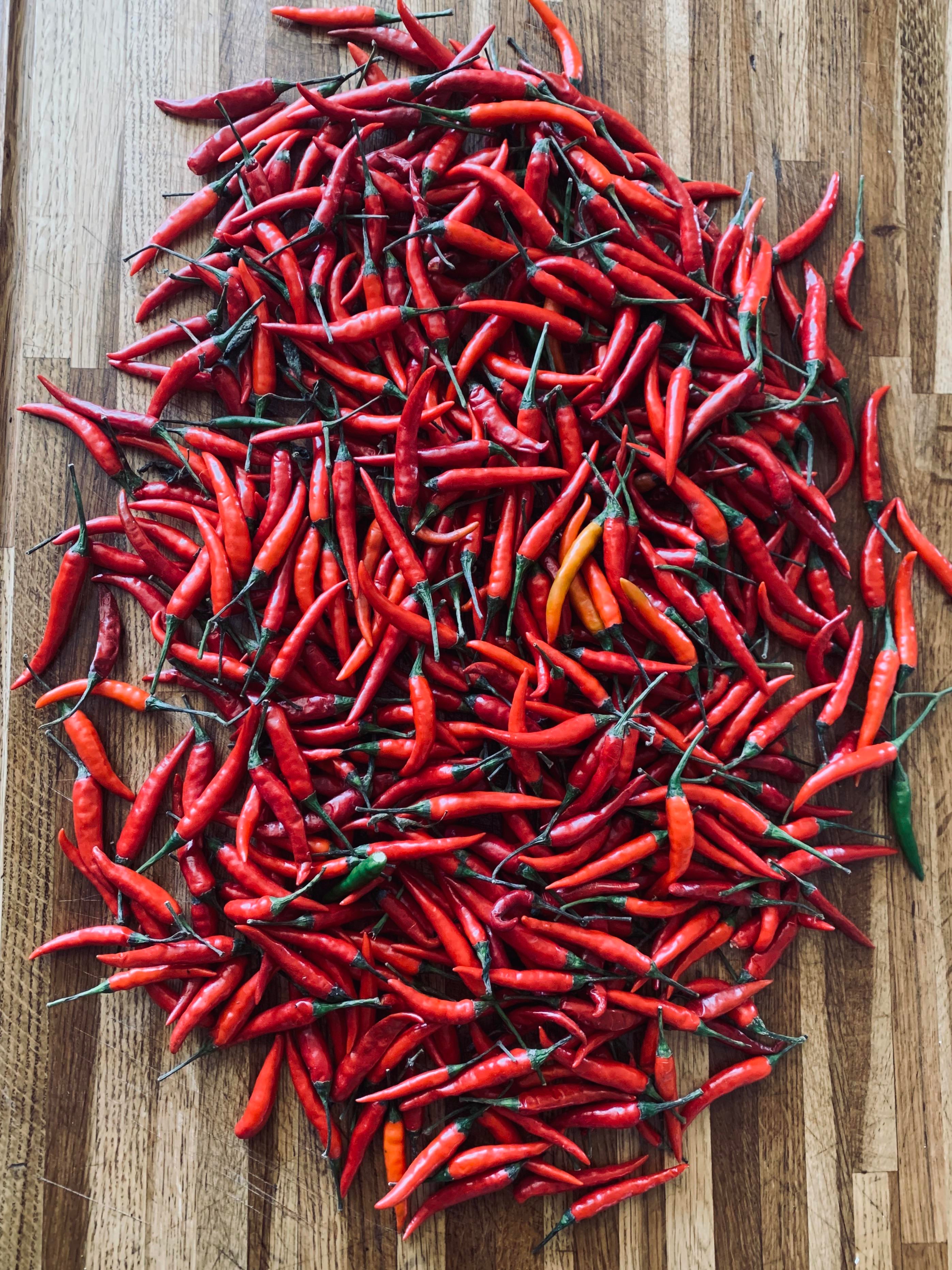 1 Gallon of Fresh Birdseye Chillis (Scoville 50100,000) Time to seed