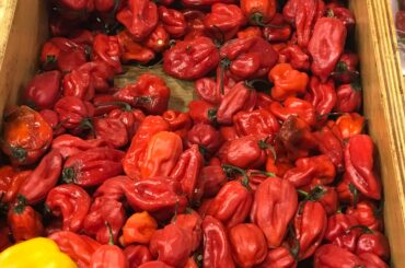 Just a few habaneros from the farmers market