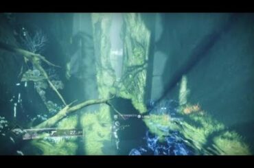 Chili For President Destiny 2!