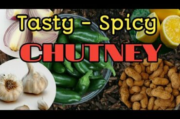 Tasty Spicy Simple Chutney | Rajasthani Recipes |Green Chili-Garlic-Peanut Lemon Chutney |Quick Easy