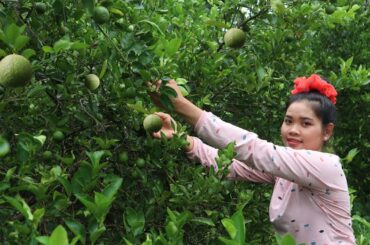Amazing chicken feet with chili  it is very tasty food | Natural Food TV