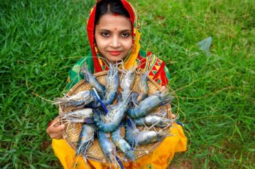 Prawn Chilli Masala Gravy Prepared by Limu | Village Style Chilli Prawn recipes | Village Cooking