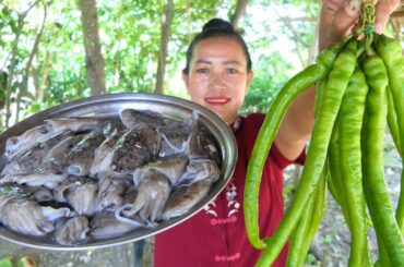 Tasty Squid Stir Fry Chili Green - Squid Cooking Recipe - Simple Life Cooking