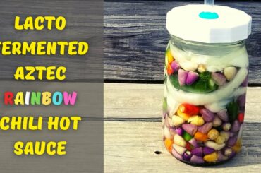 Lacto Fermented Aztec Rainbow Chili Hot Sauce ~~ Easy Recipe!!