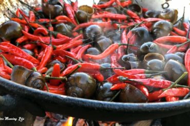 Primitive Technology - Yummy cooking snail with chili recipe - Eating Delicious