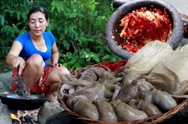 Yummy sea food recipe: Cooking Octopus hot spicy chili with mushroom taste delicious