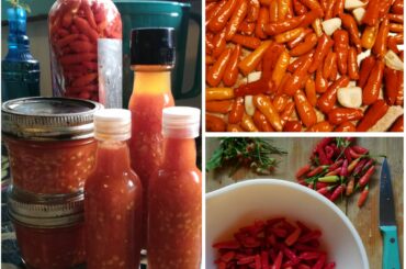 Homemade and homegrown Hawaiian chili pepper sauce. Lockdown hobby still goin strong!