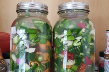 Started my ferment today